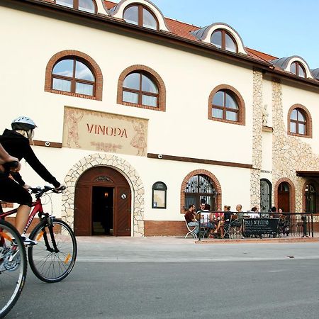 Hotel Vinopa Hustopeče المظهر الخارجي الصورة