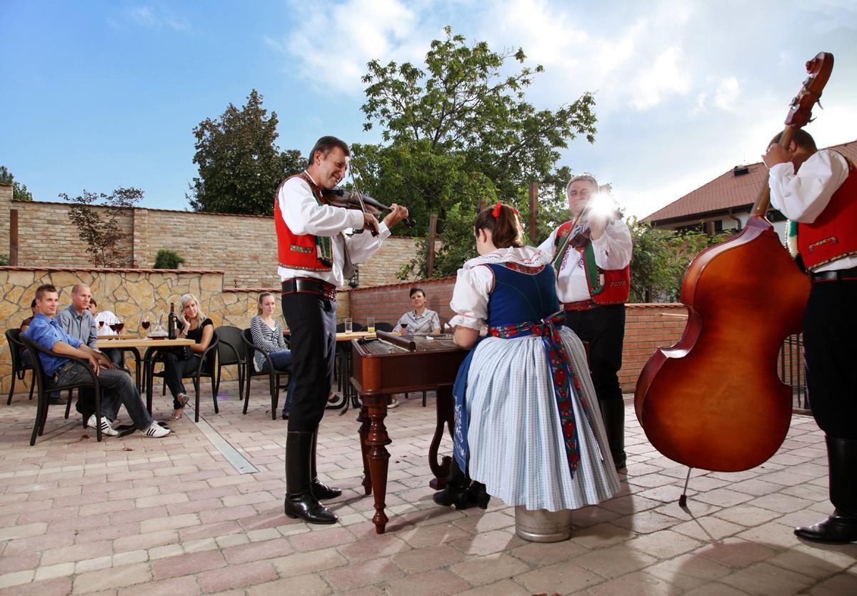 Hotel Vinopa Hustopeče المظهر الخارجي الصورة